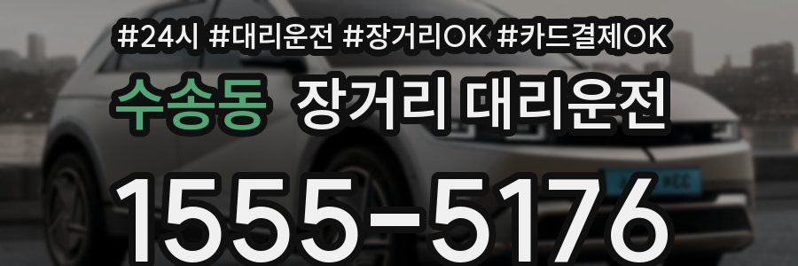 수송동 장거리 대리운전