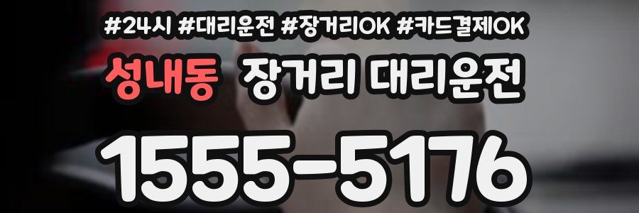 성내동 장거리 대리운전