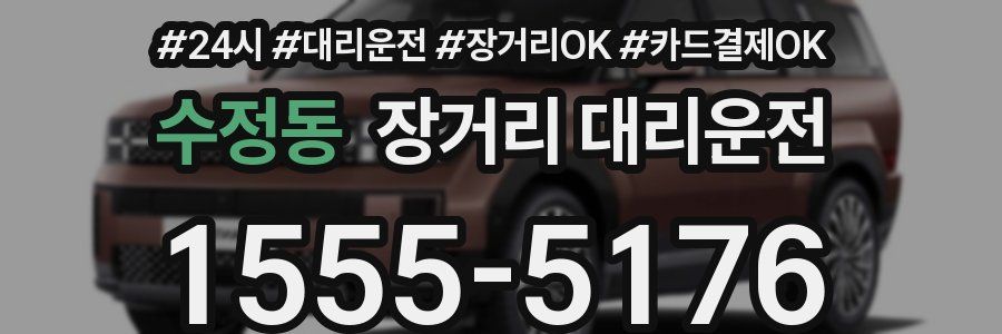 수정동 장거리 대리운전
