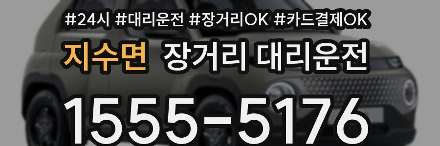 지수면 장거리 대리운전