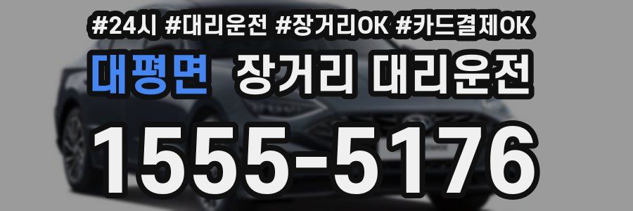 대평면 장거리 대리운전