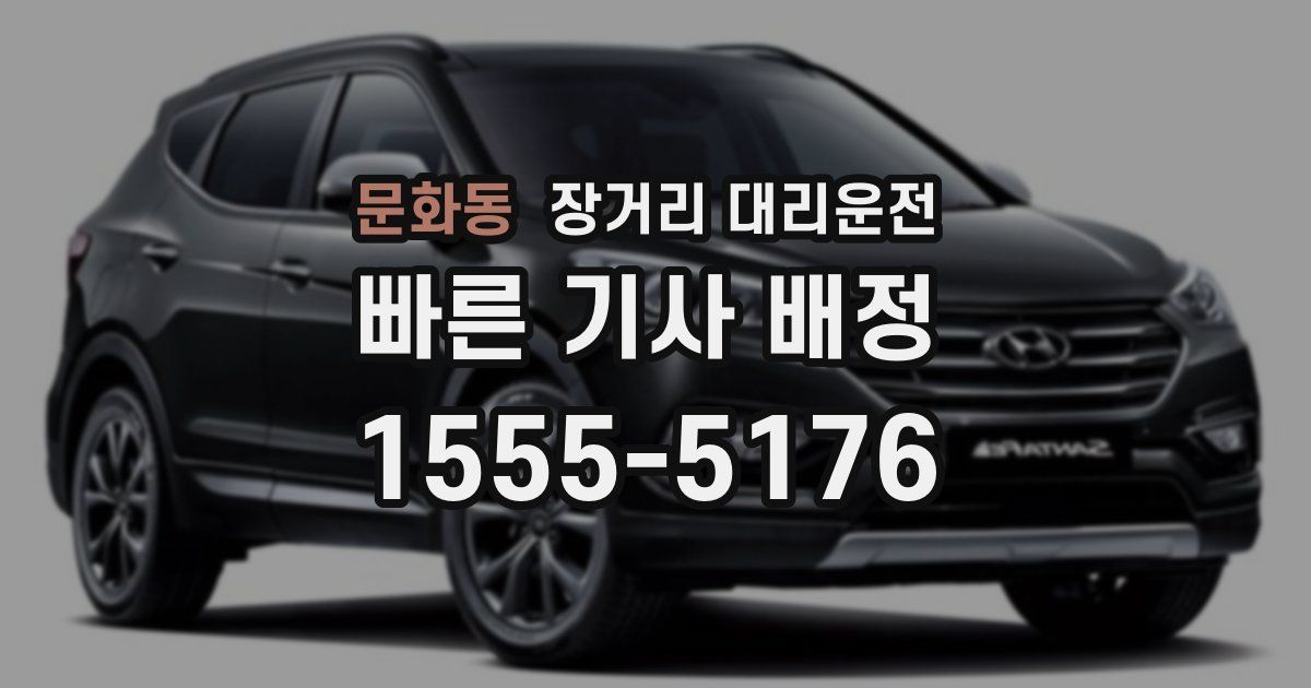 문화동 장거리 대리운전