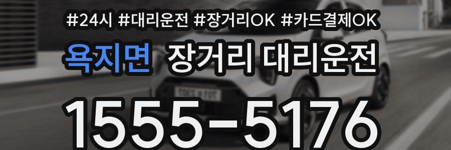 욕지면 장거리 대리운전