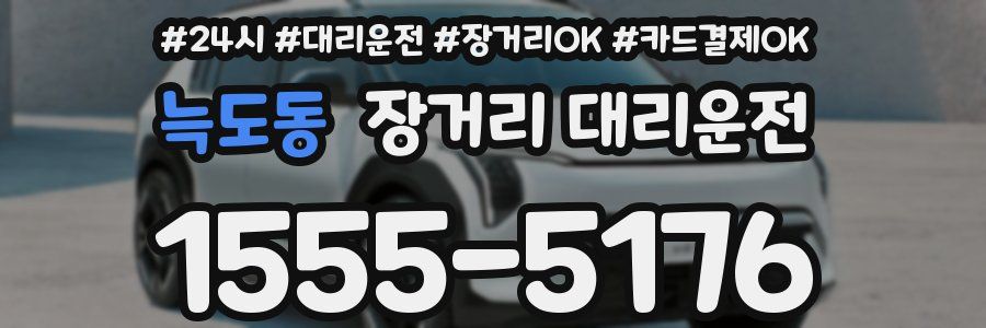 늑도동 장거리 대리운전