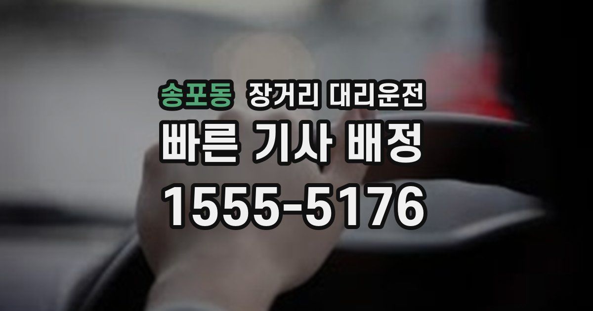 송포동 장거리 대리운전