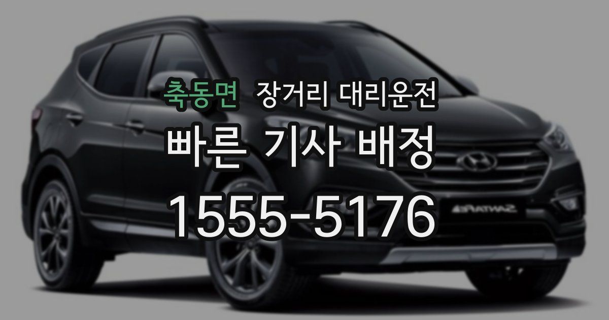 축동면 장거리 대리운전