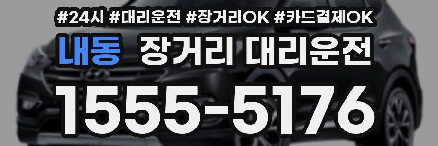 내동 장거리 대리운전