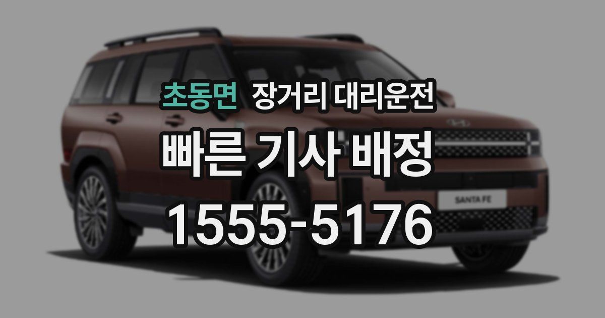 초동면 장거리 대리운전