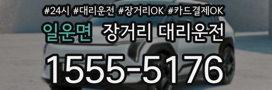 일운면 장거리 대리운전