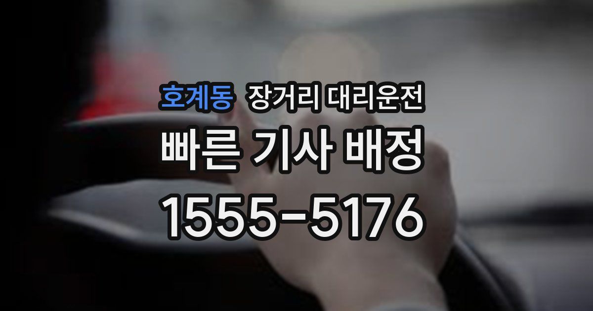 호계동 장거리 대리운전