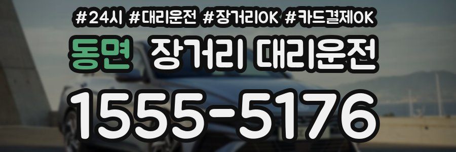 동면 장거리 대리운전