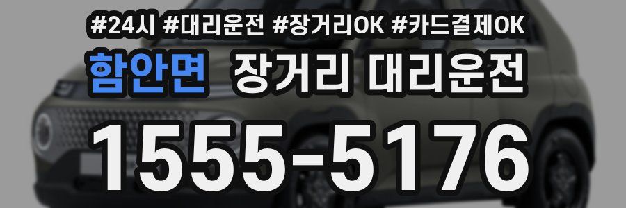 함안면 장거리 대리운전