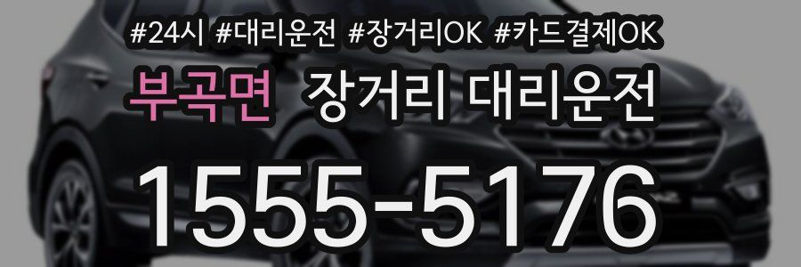 부곡면 장거리 대리운전