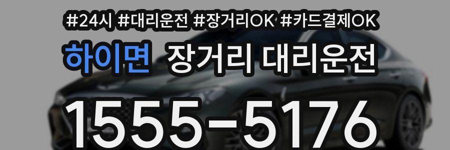 하이면 장거리 대리운전