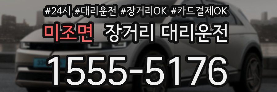 미조면 장거리 대리운전