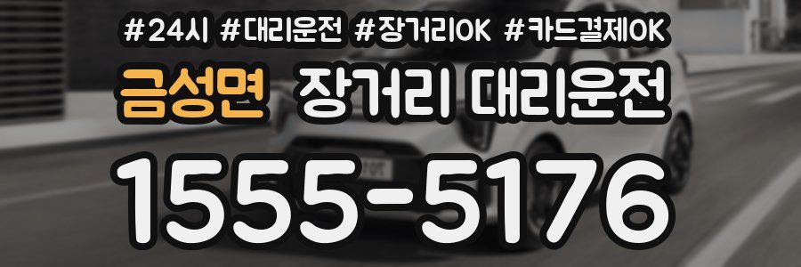 금성면 장거리 대리운전