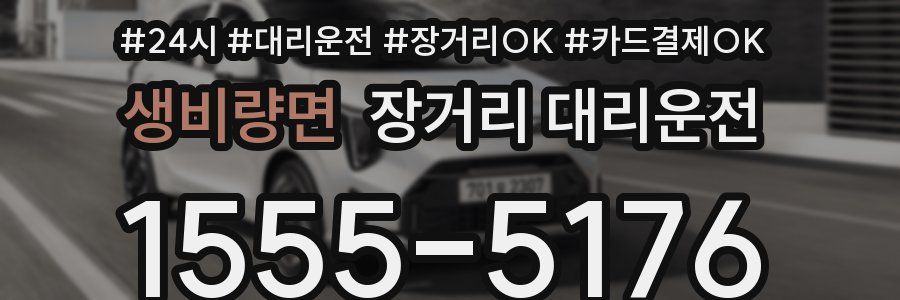 생비량면 장거리 대리운전