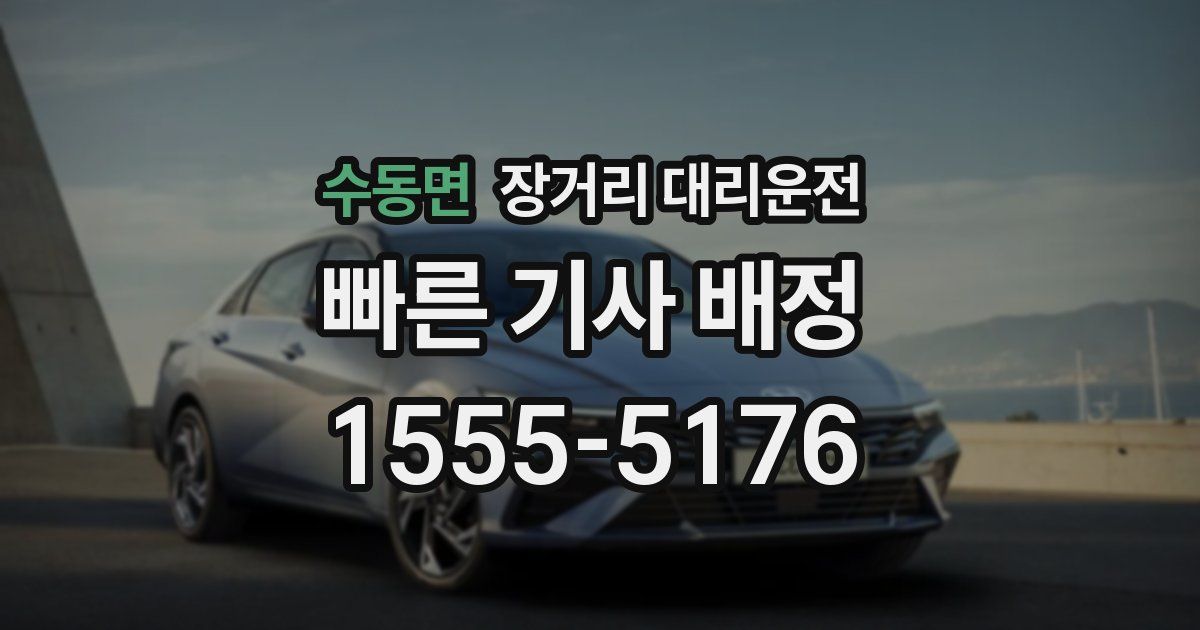 수동면 장거리 대리운전
