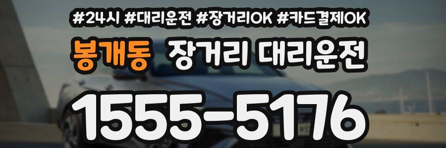 봉개동 장거리 대리운전