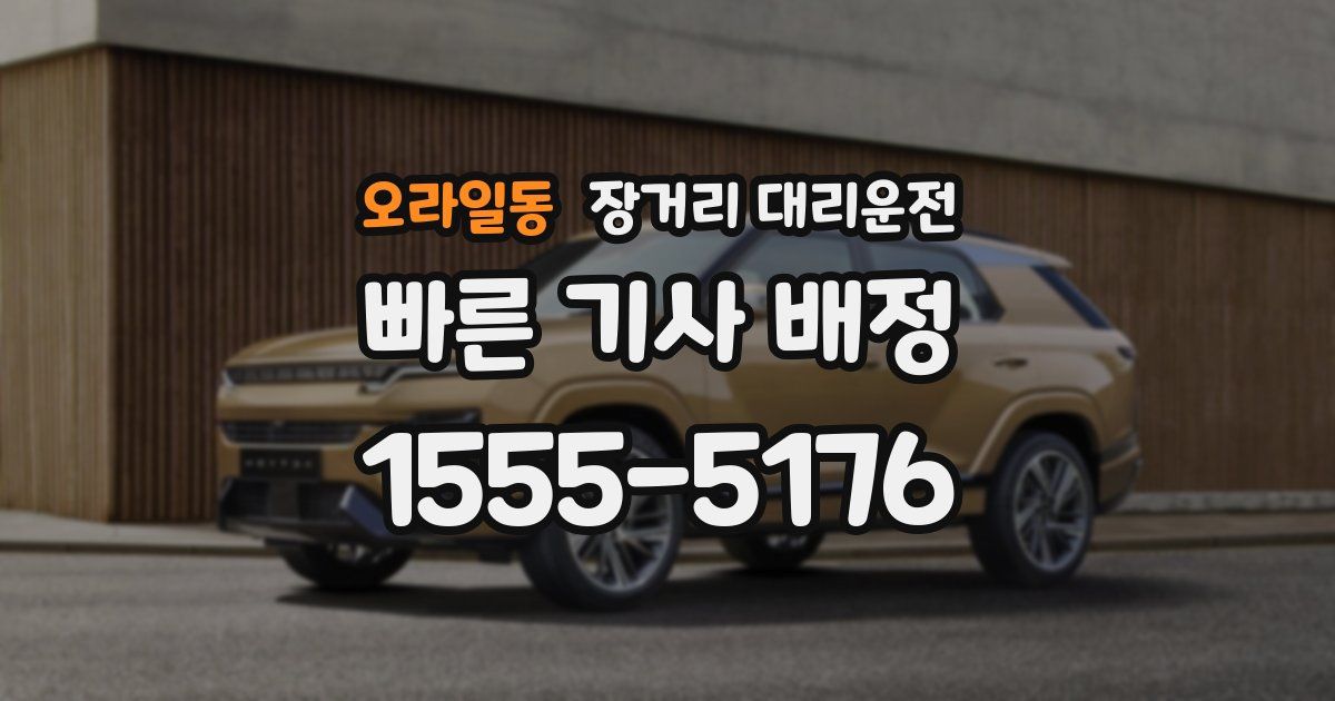 오라일동 장거리 대리운전
