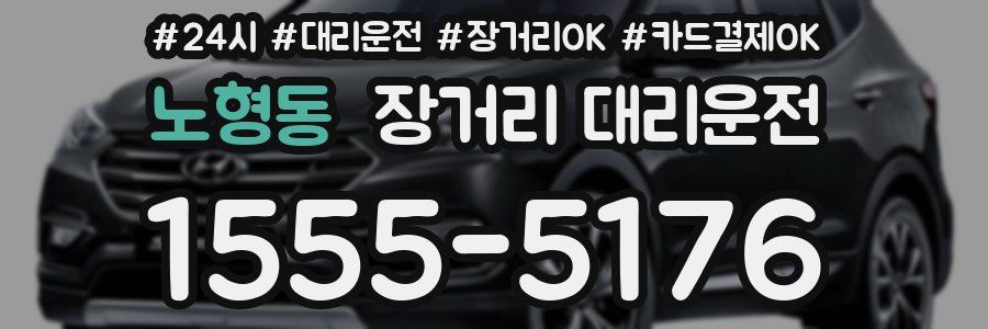노형동 장거리 대리운전