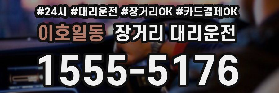 이호일동 장거리 대리운전