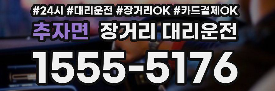 추자면 장거리 대리운전