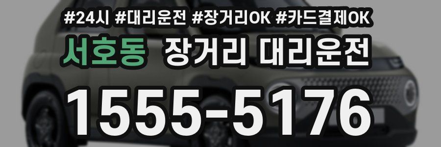 서호동 장거리 대리운전