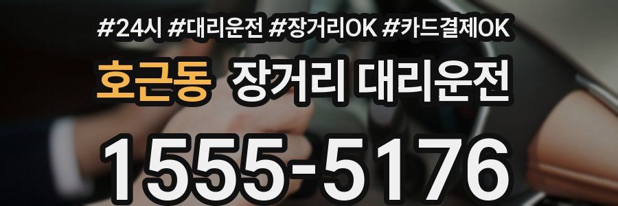 호근동 장거리 대리운전