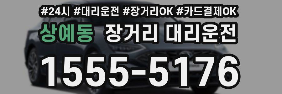 상예동 장거리 대리운전