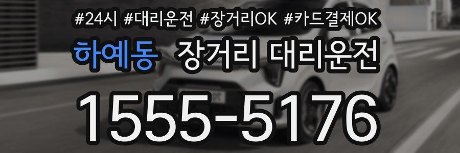 하예동 장거리 대리운전
