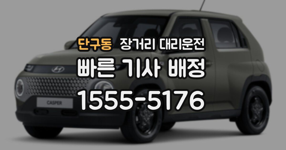 단구동 장거리 대리운전