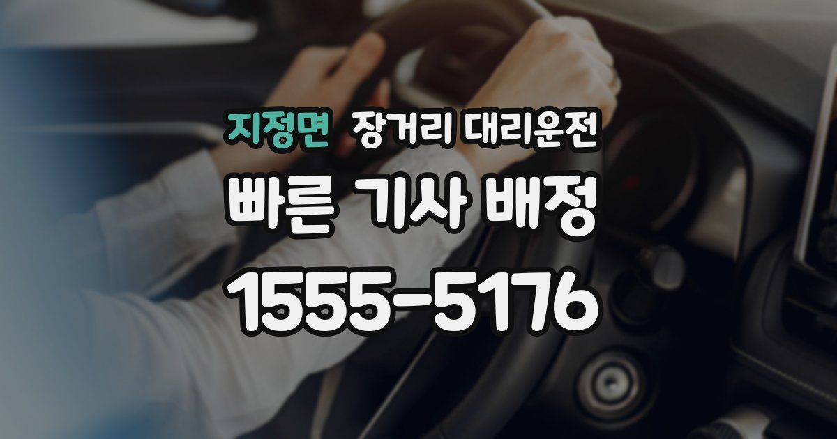 지정면 장거리 대리운전