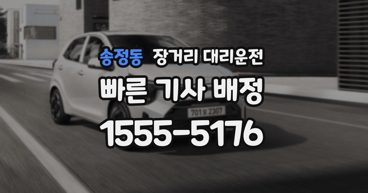 송정동 장거리 대리운전