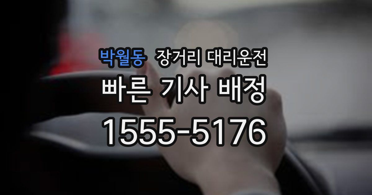 박월동 장거리 대리운전