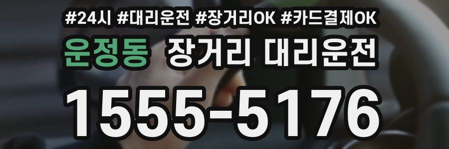 운정동 장거리 대리운전