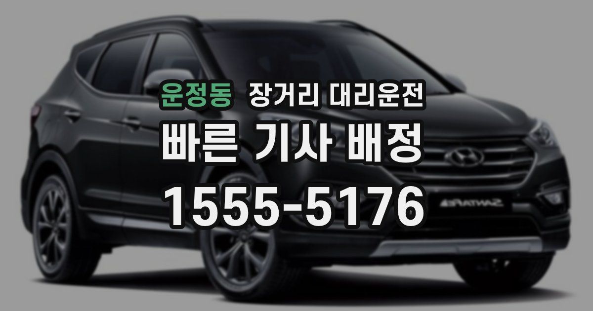 운정동 장거리 대리운전