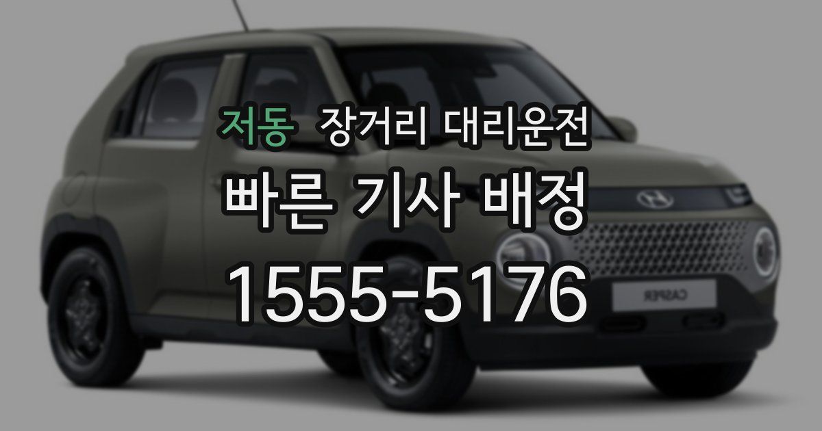 저동 장거리 대리운전