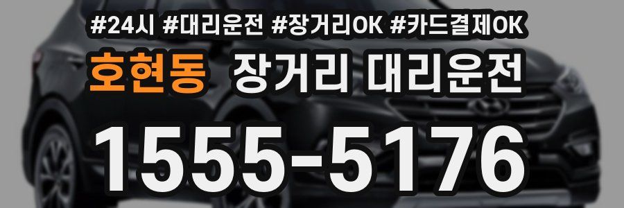 호현동 장거리 대리운전