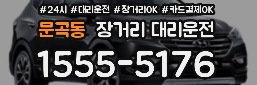 문곡동 장거리 대리운전