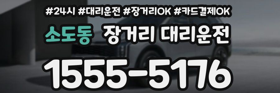 소도동 장거리 대리운전