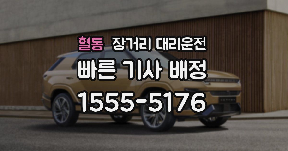 혈동 장거리 대리운전