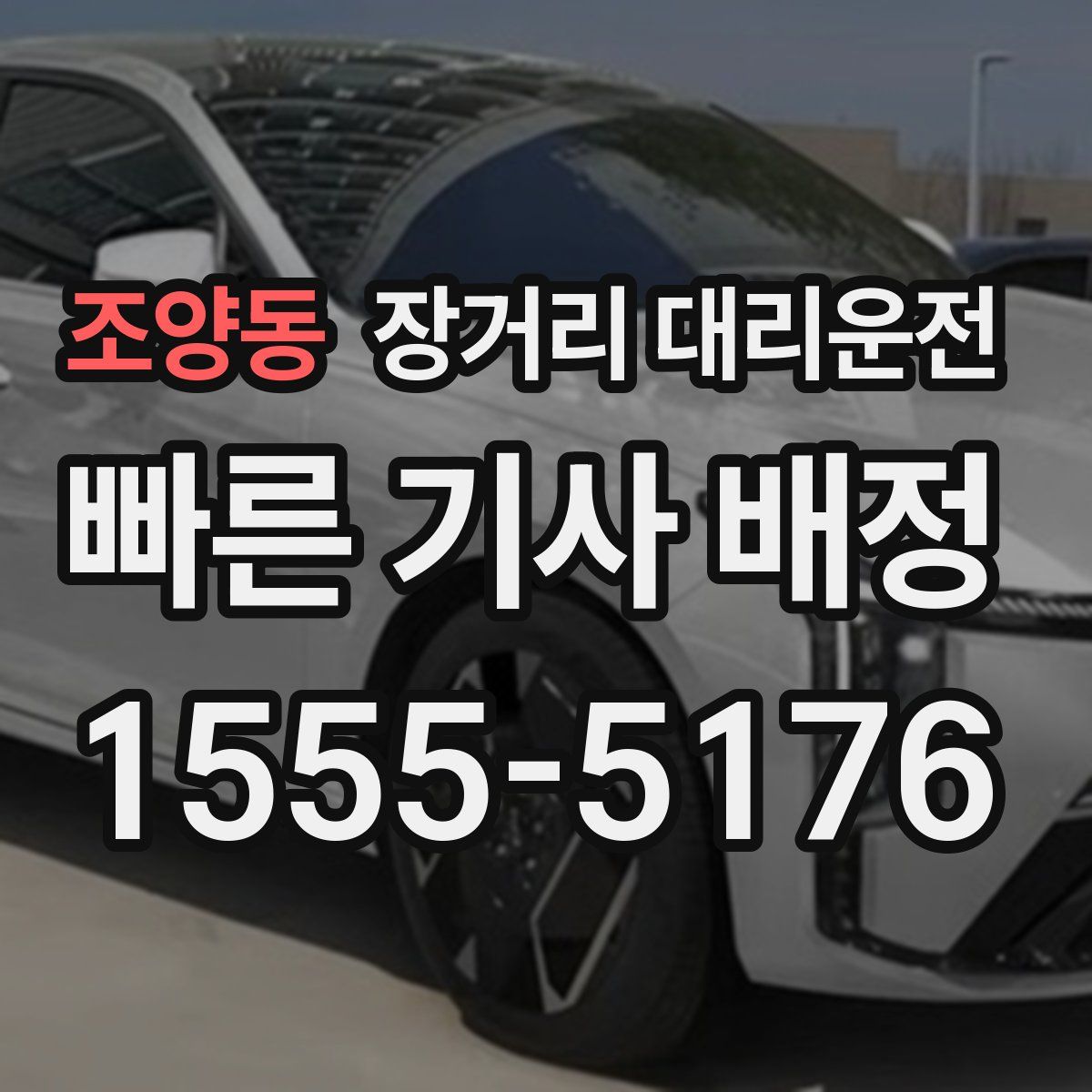 조양동 장거리 대리운전