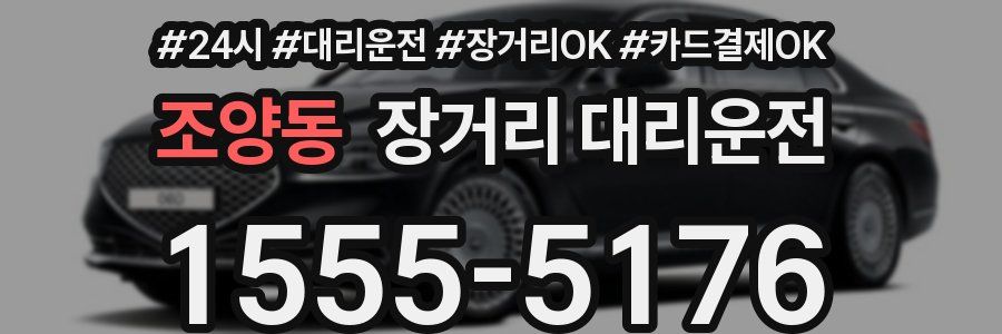 조양동 장거리 대리운전
