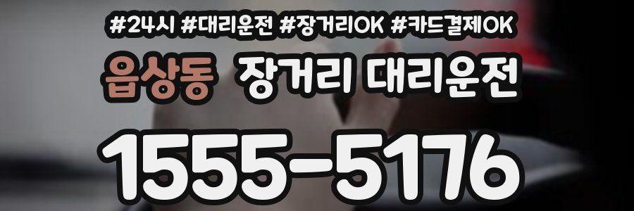 읍상동 장거리 대리운전