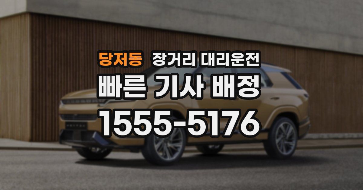 당저동 장거리 대리운전