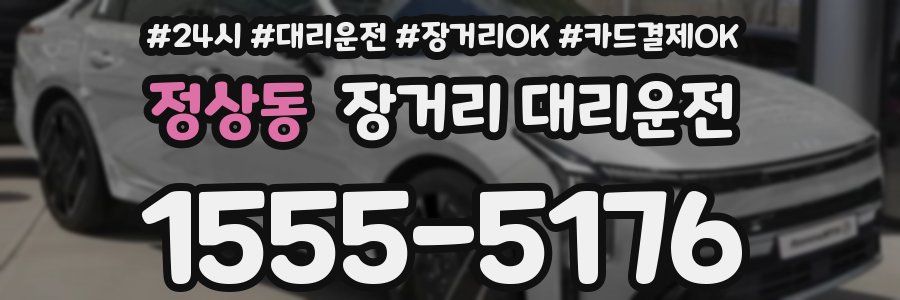 정상동 장거리 대리운전