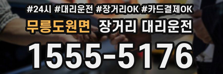 무릉도원면 장거리 대리운전