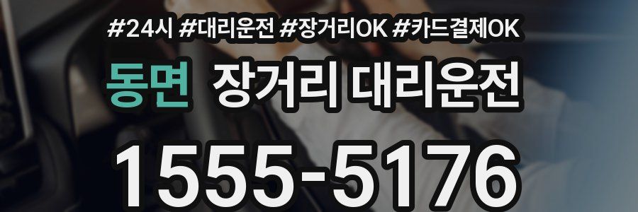 동면 장거리 대리운전