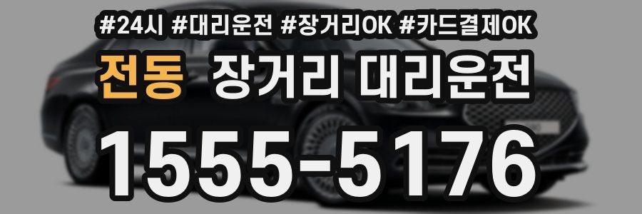 전동 장거리 대리운전
